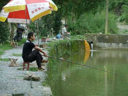 仙湖农庄钓鱼怎么样？仙湖度假区钓鱼？