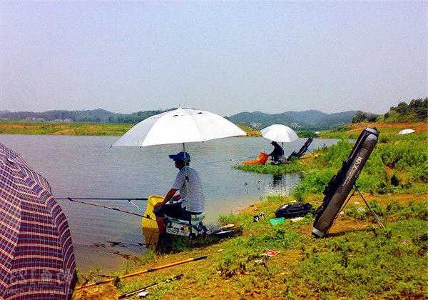 小水水库钓鱼怎么样？小水库野钓？