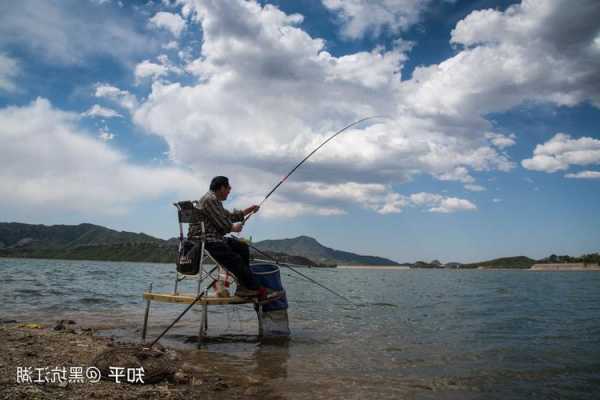 钓鱼的孩子怎么样，爱钓鱼的孩子成绩肯定好