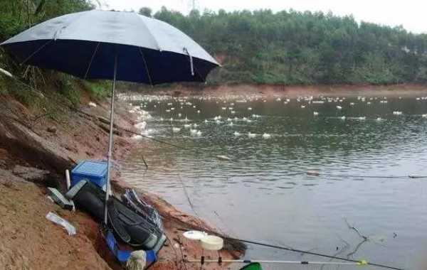 雨后野钓鱼怎么样？雨后野钓钓深还是钓浅？