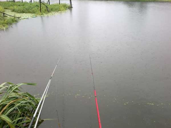 雨后野钓鱼怎么样？雨后野钓钓深还是钓浅？