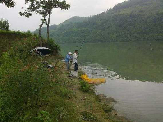 淳化鱼塘钓鱼怎么样，淳化的水库