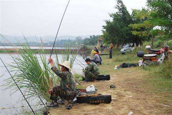 河滩水库钓鱼怎么样，河滩水库钓鱼怎么样好钓吗？