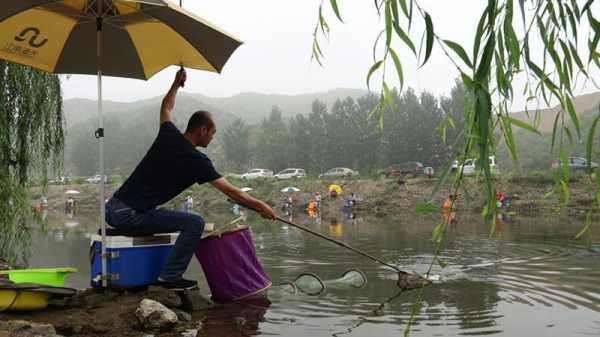 阜平树林钓鱼怎么样，阜平水库！