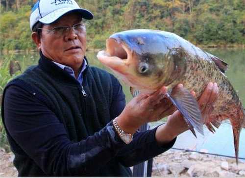 钓鱼物理老师怎么样，钓鱼物理老师怎么样？