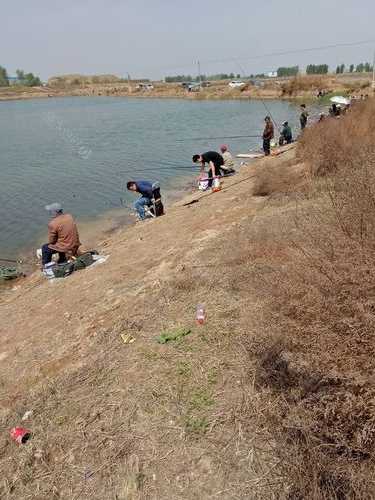 沙河店铺钓鱼怎么样？沙河店铺钓鱼怎么样呀？