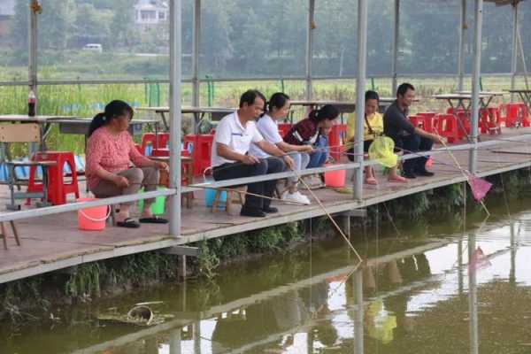 南湖钓鱼钓虾怎么样，南湖钓鱼的地方在哪里