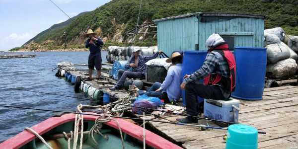 东山鱼排钓鱼怎么样？东山渔排？