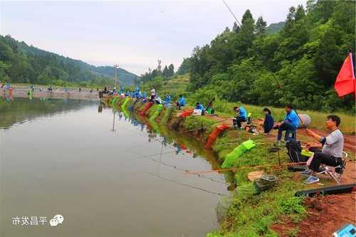 老兵户外钓鱼怎么样，老兵生态养殖垂钓园