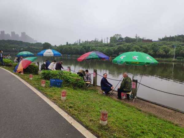 老兵户外钓鱼怎么样，老兵生态养殖垂钓园