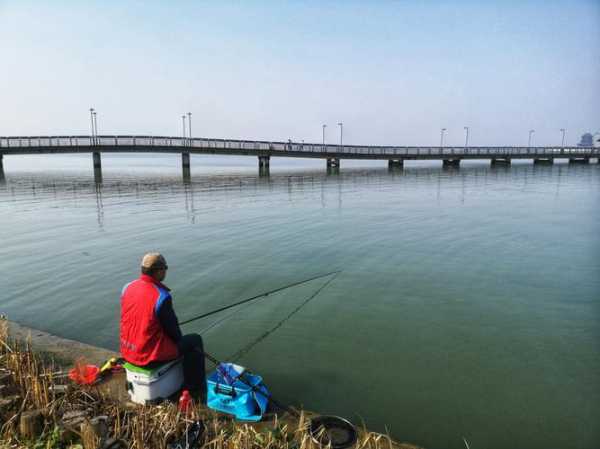 阳澄湖大师钓鱼怎么样，阳澄湖野钓2020？