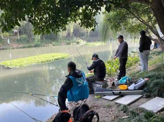 杭州河上钓鱼怎么样，杭州的河里能钓鱼吗？