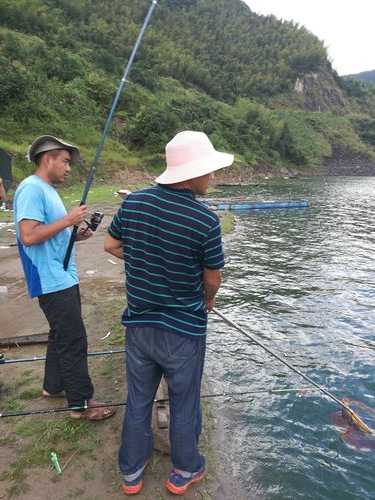 太古雷龙钓鱼怎么样？太古雷龙钓鱼怎么样啊？