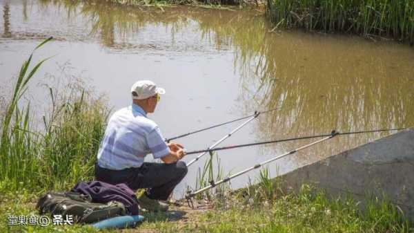 夏天钓鱼收获怎么样，夏天钓鱼收获怎么样好钓吗？