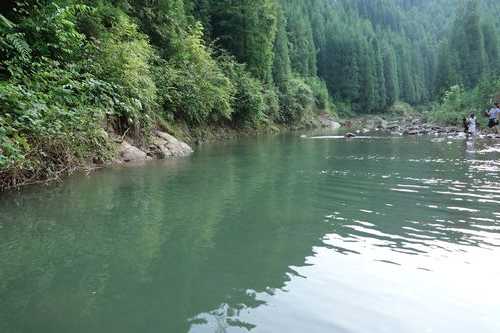 洪雅沙坑钓鱼怎么样，洪雅沙坑钓鱼怎么样好钓吗