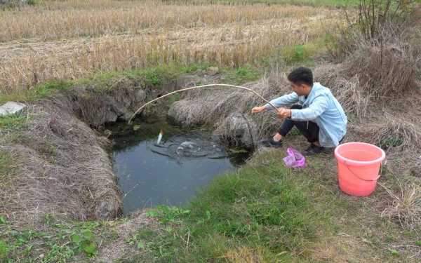 小野水坑钓鱼怎么样？小水沟野钓？