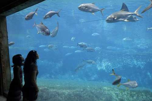 德国柏林钓鱼怎么样，德国柏林水族馆