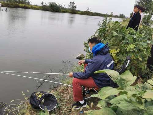 中秋流水钓鱼怎么样，中秋钓大鱼？