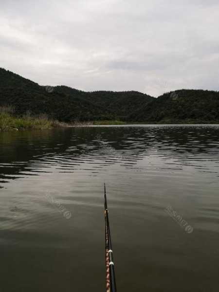 余家河滩钓鱼怎么样，余家河坝！