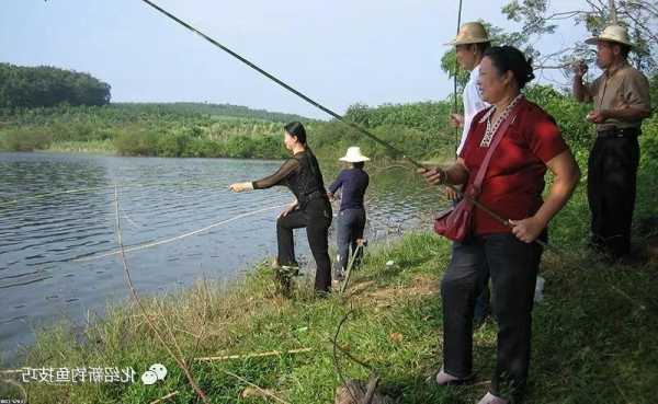 菊花园钓鱼怎么样？菊花园钓鱼怎么样好钓吗？