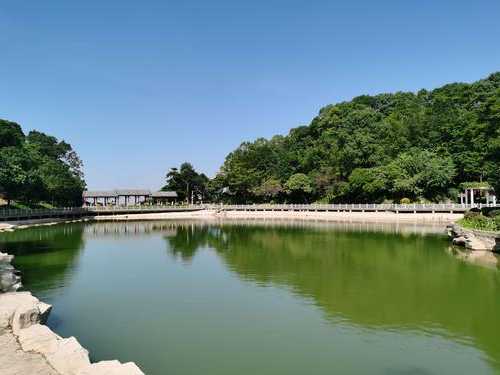 帽峰山烧烤钓鱼怎么样，帽峰山有钓鱼的吗