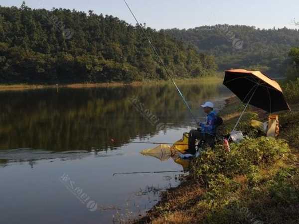 碧山传统钓鱼怎么样？碧山传统钓鱼怎么样好钓吗？