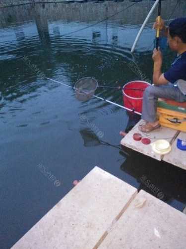 木厂山庄钓鱼怎么样？木厂水库？