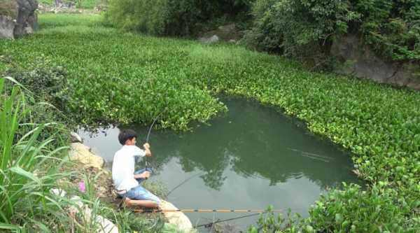 小区河道钓鱼怎么样，小区里钓鱼？