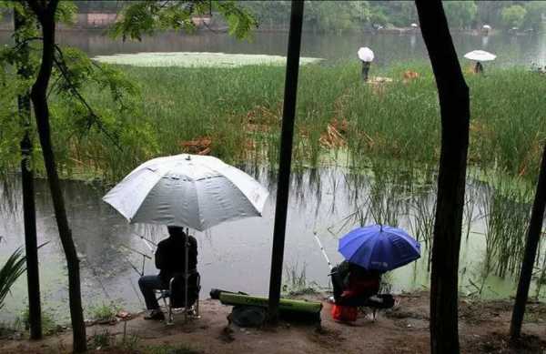 雨后清晨钓鱼怎么样？雨后早晨钓鱼好钓吗？