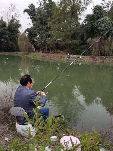 大塘河边钓鱼怎么样，大塘河边钓鱼怎么样啊！