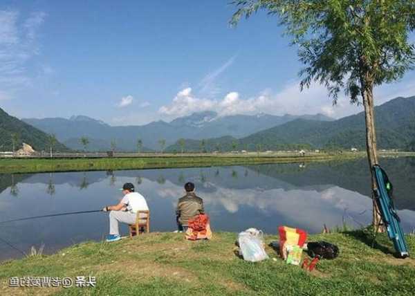 新水塘钓鱼怎么样，新塘水库钓鱼？