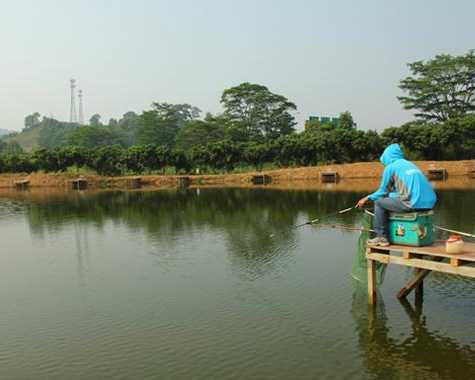 环形池塘钓鱼怎么样，环形池塘钓鱼怎么样好钓吗？