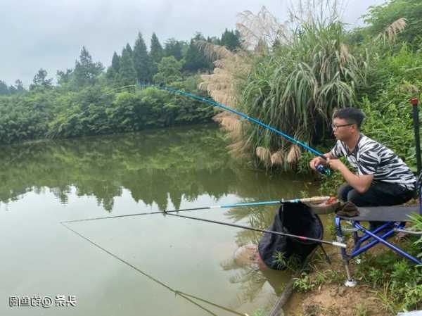 头条钓鱼手气怎么样？头条钓鱼直播怎么赚钱？