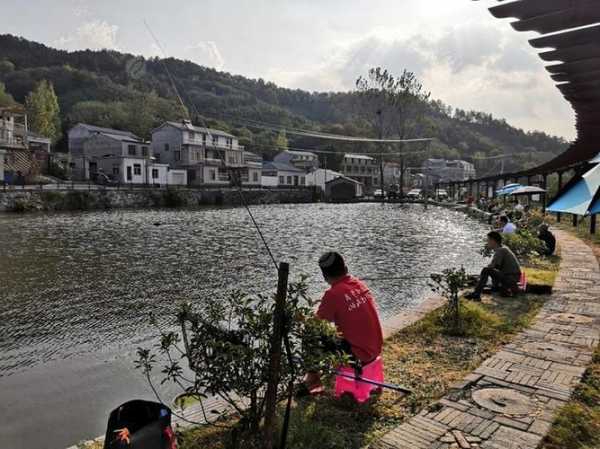 信阳技师钓鱼怎么样，信阳技院钓场？