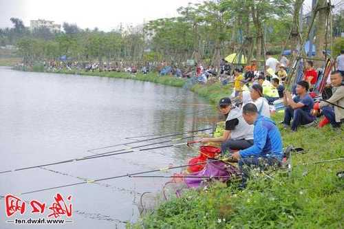 海口组团钓鱼怎么样？海口组团钓鱼怎么样啊？