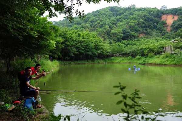 修水农庄钓鱼怎么样，修水农庄钓鱼怎么样啊