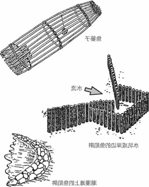 怎么样做钓鱼陷阱，钓鱼做窝方法