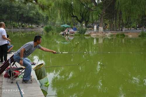 其美公园钓鱼怎么样，其美公园钓鱼怎么样呀