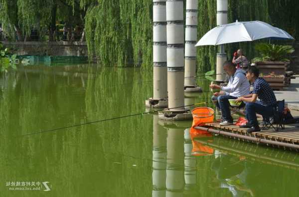 其美公园钓鱼怎么样，其美公园钓鱼怎么样呀