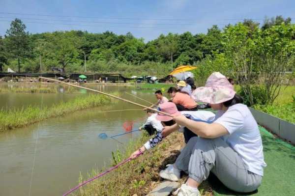 德安河里钓鱼怎么样，德安河里钓鱼怎么样好钓吗！