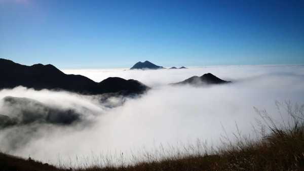 黄梅竹林钓鱼怎么样，黄梅竹林钓鱼怎么样好钓吗！