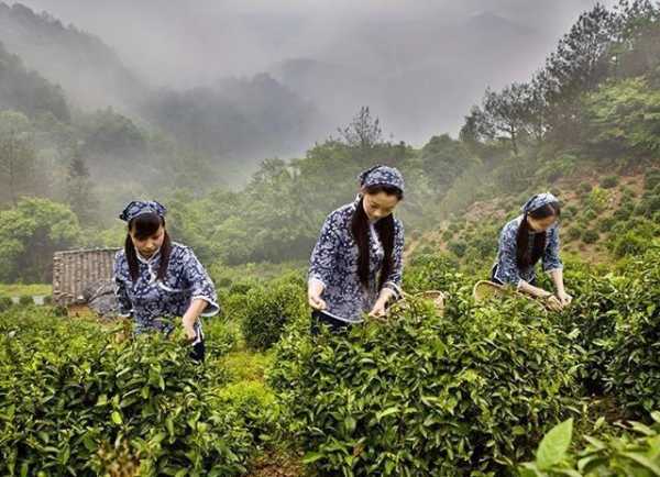 黄梅竹林钓鱼怎么样，黄梅竹林钓鱼怎么样好钓吗！