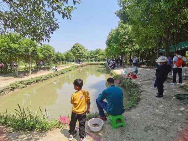 牛角场钓鱼怎么样，牛角大圩钓鱼有不收费的鱼塘