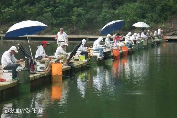 永鑫钓鱼怎么样？永鑫钓鱼怎么样知乎？