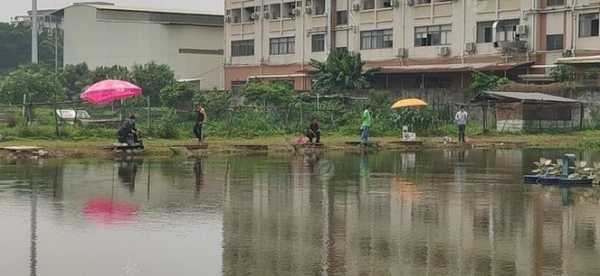 南沙中午钓鱼怎么样，广州南沙区钓鱼去哪里