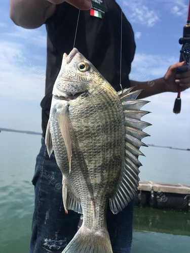 北海下午钓鱼怎么样，北海下午钓鱼怎么样好钓吗