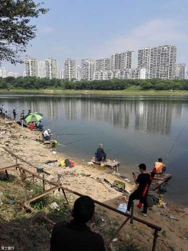 王家大村钓鱼怎么样，王家大湖能钓鱼了