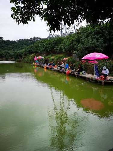 竹园环岛钓鱼怎么样，竹园钓鱼场