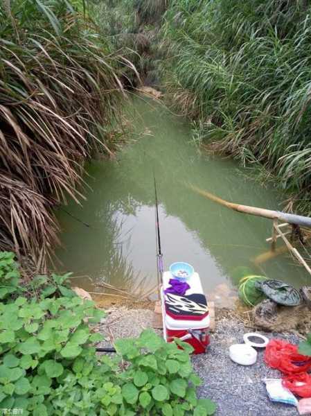 修武矿坑钓鱼怎么样，修武水库钓鱼