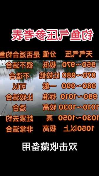 900气压钓鱼怎么样，气压990钓鱼！